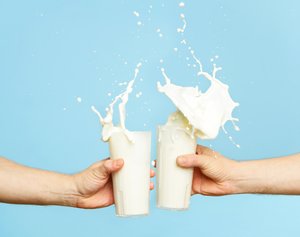 Anstossen mit Milchgläsern